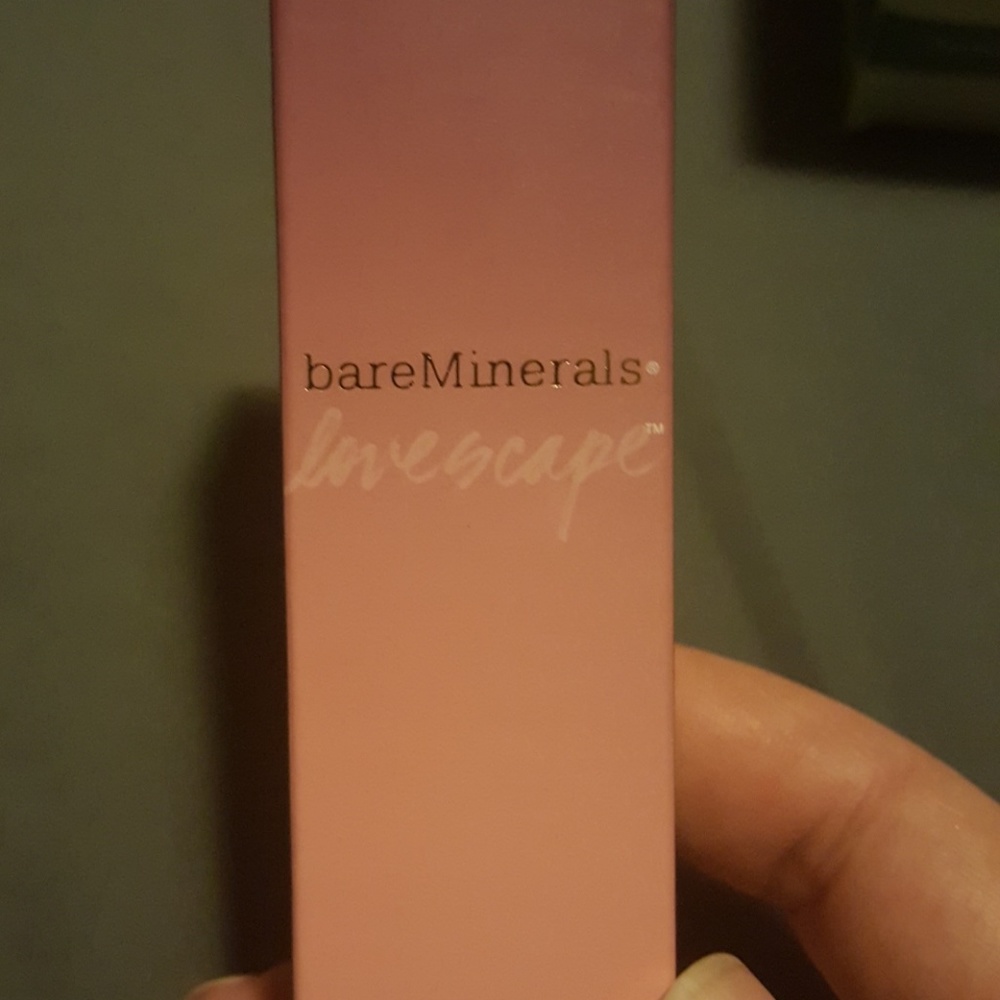 Discontinued Perfecting Face Brush